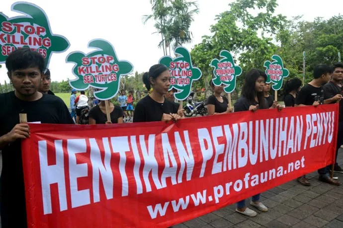 Penyu-penyu ini Begitu Tersiksa karena Sampah Menjerat Tubuhnya. Wahai Manusia, Sadarlah Segera! 16
