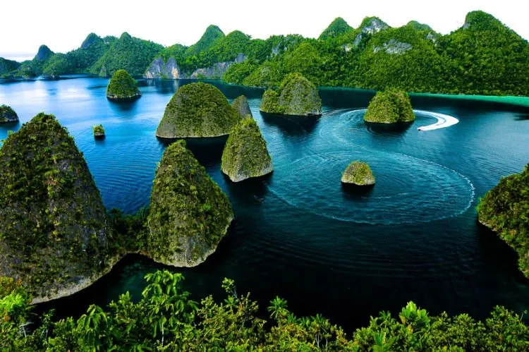 Mimpi Apa yang Bisa Mengalahkan Mimpi ke Raja Ampat? Yuk Wujudkan Nyata Ke Surga Itu! 11