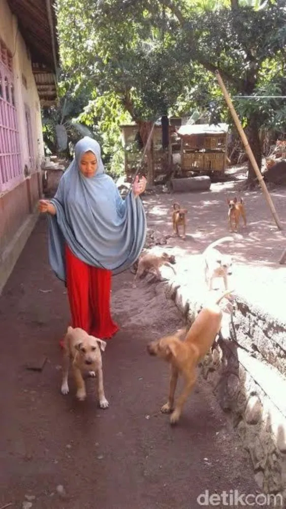 Apa Salah Desy Marlina? Perempuan Berhijab yang Menuai Kecaman Hanya Karena Memberi Makan Anjing. 9