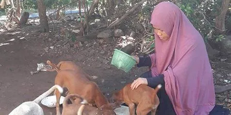 Apa Salah Desy Marlina? Perempuan Berhijab yang Menuai Kecaman Hanya Karena Memberi Makan Anjing. 6