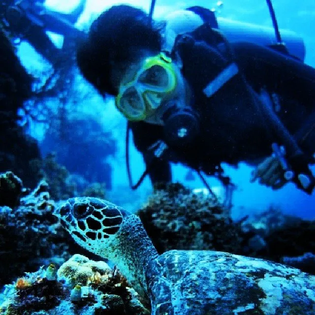 Buat Kamu yang Pengen Bisa Diving, Kamu Harus Dengerin Tips dari Penyelam WWF Indonesia Ini! 16