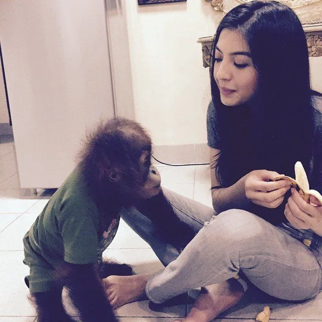 Kamu yang Jomblo Nggak Usah Berkecil Hati, Raline Shah yang Cantik Seutuhnya Aja Senasib Sama Kamu. 14
