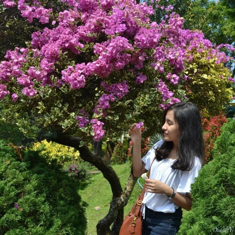 9 Destinasi Ini Nggak Cuma Indah, Namun Juga Menjanjikan Kecantikan Gadisnya yang Menawan 14