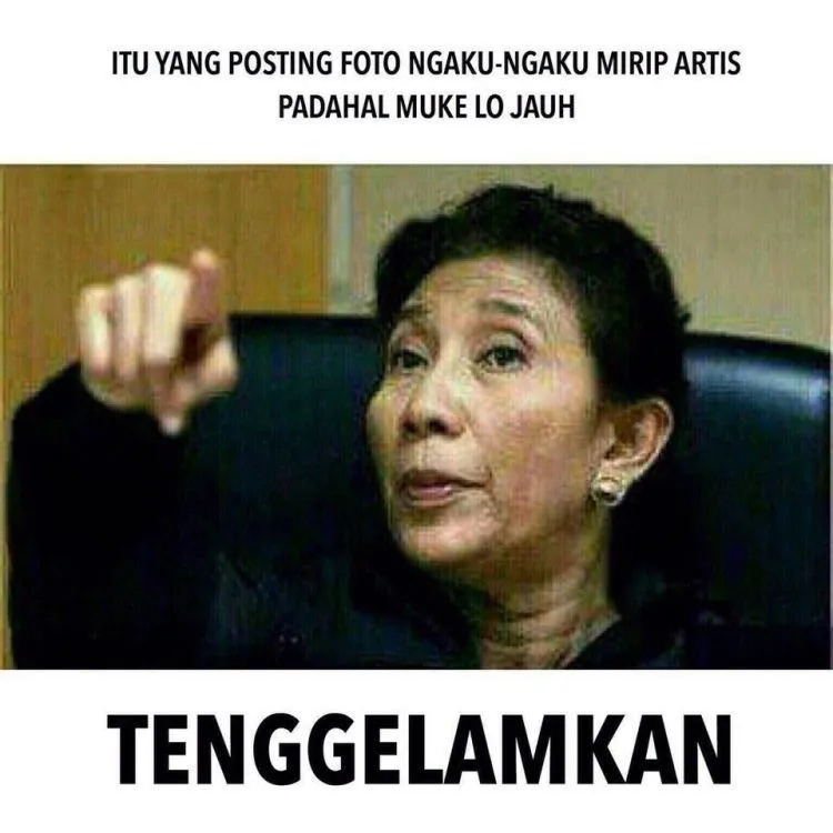 17 Meme Kocak Tentang Postingan Foto Mirip Artis. Tiba-tiba Jadi Banyak yang Mirip Dian Sastro! 32