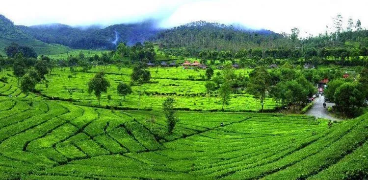 Biar Makin Manis dan Romantis, 7 Spot di Bandung Ini Bisa Jadi Pilihan Buat Melamar Kekasihmu 13