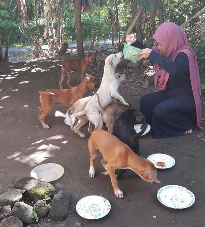 Apa Salah Desy Marlina? Perempuan Berhijab yang Menuai Kecaman Hanya Karena Memberi Makan Anjing. 7
