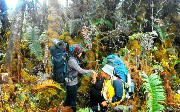 15 Potret Romantis Pasangan Pendaki yang Pamer Kemesraan. Bisa Bikin Kamu Baper Terus-terusan 23
