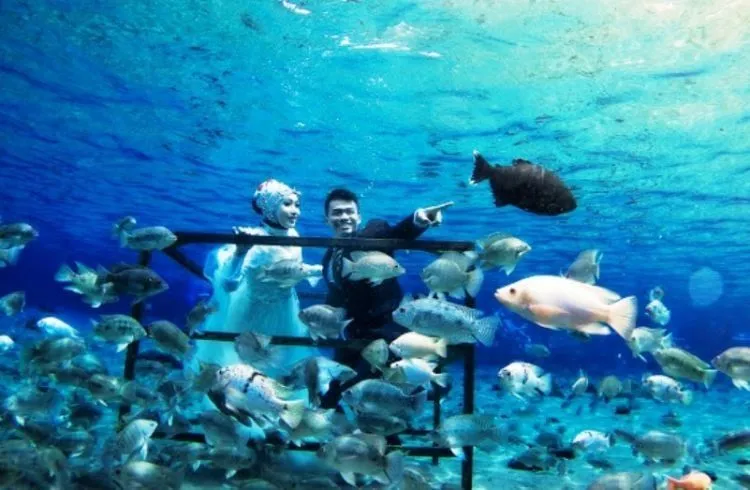 7 Inspirasi Foto Prewedding Underwater di Umbul Ponggok Klaten. Unik dan Antimainstream 12