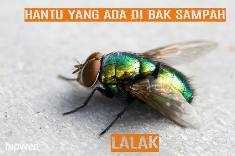 Simak Nih 14 Meme dari Valak, Setan di Film Conjuring 2 yang Lagi Naik Daun! 26