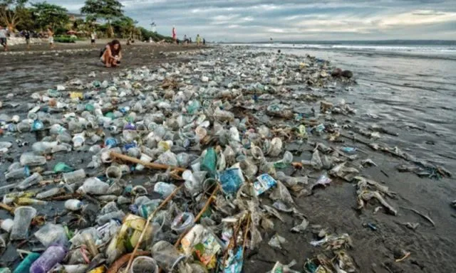 Gara-gara Kita, Pantai Yang Dulu Indah Kini Jadi Tercemar Sampah dan Limbah! Sedih Rasanya :( 22