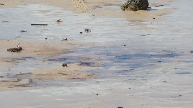 Gara-gara Kita, Pantai Yang Dulu Indah Kini Jadi Tercemar Sampah dan Limbah! Sedih Rasanya :( 28