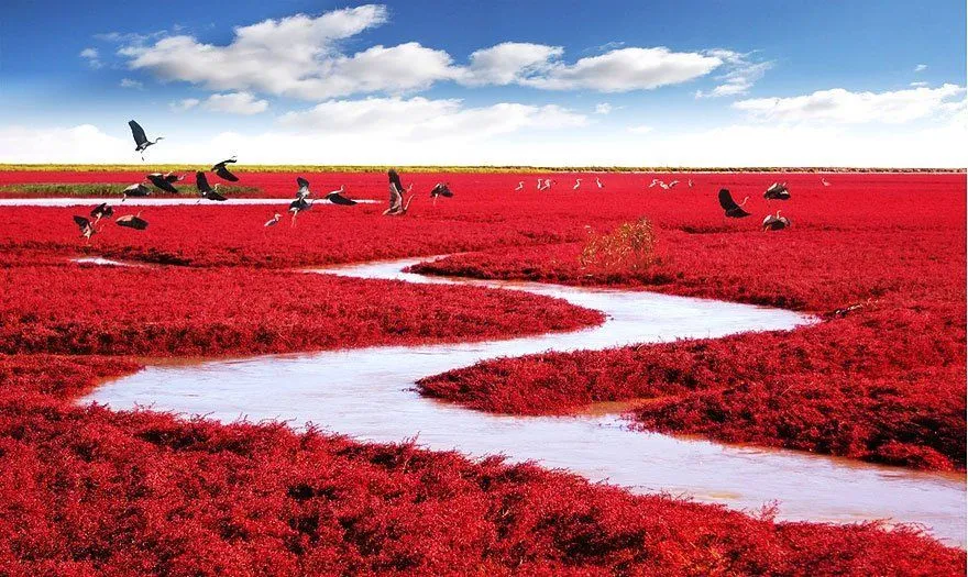 Parade Foto Keindahan Cina, yang Bikin Orgasme Mata! Jadi, Kapan Kita Ke Cina? 20