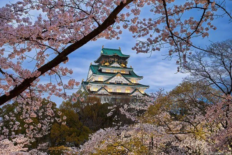 25 Potret Keindahan Negeri Sakura Jepang yang Bikin Nggak Bisa Berhenti Orgasme Mata... 39