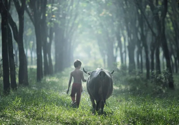 Kalau Pernah Melakukan 7 Hal Ini di Masa Kecil, Mungkin Kamu Memang Berbakat Jadi Traveler! 8