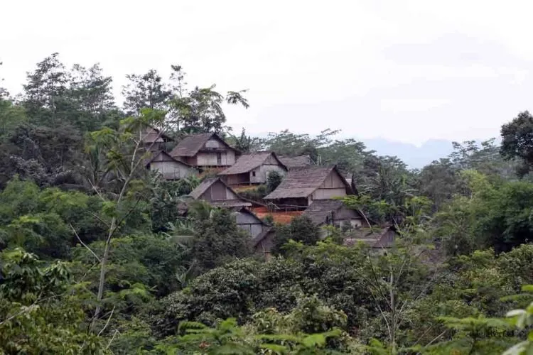 Mengenal Kehidupan Sederhana dan Penuh Harmoni Ala Suku Baduy. Adem dan Menenangkan Jiwa! 11