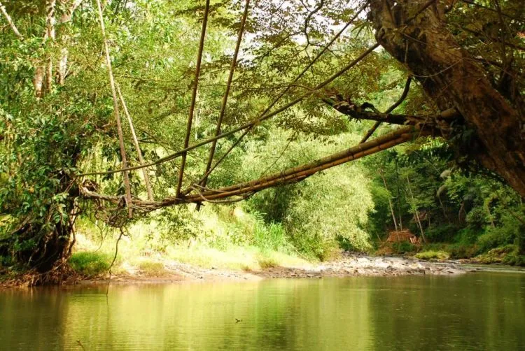 Mengenal Kehidupan Sederhana dan Penuh Harmoni Ala Suku Baduy. Adem dan Menenangkan Jiwa! 10