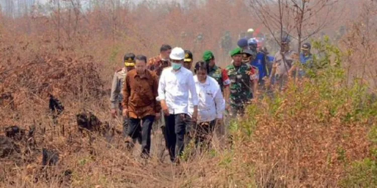 Bekantan Imut Ini Dibunuh Lalu Fotonya Dipajang di Facebook. Sungguh Sadis dan Kejam! 10