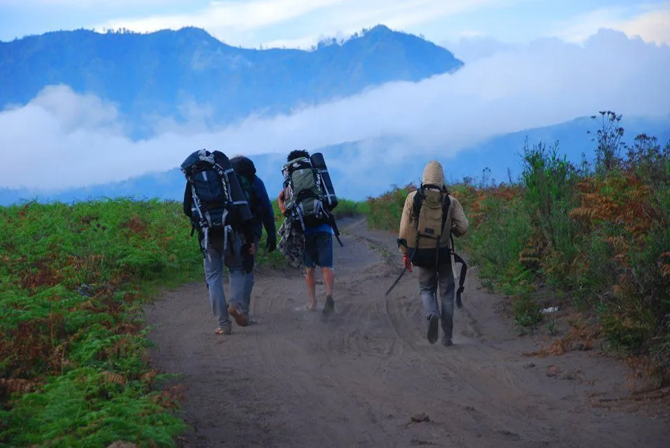 IPK Tinggi, Tapi Kerja Masih Cari-Cari. Sabar, Mungkin Kamu Melewatkan 7 Hal Ini! 9
