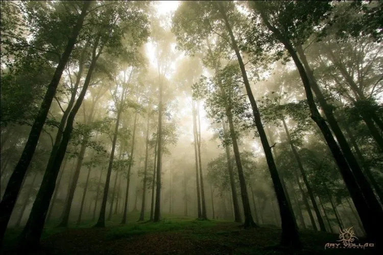 Tempat Wisata di Jawa Barat Terbaik Selain Puncak! 11
