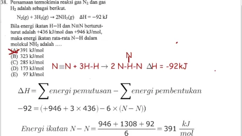 Mau Makin Pintar dengan Cara Sederhana? Coba Kerjain 8 Soal Ini Aja! 13