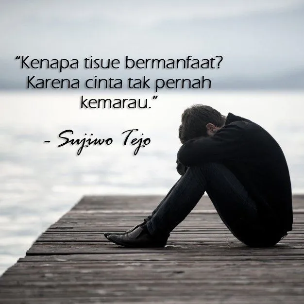 10 Kutipan Cinta dari Sujiwo Tejo yang Bikin Speechless. Malam Minggumu Bakal Tambah Syahdu! 15
