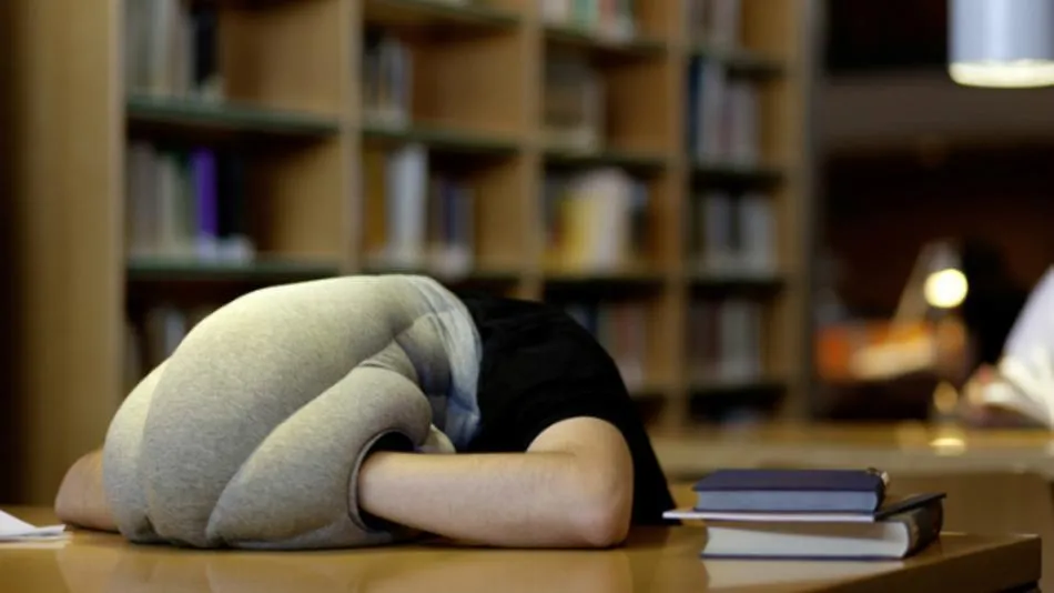 Kamu yang Suka Tidur Siang Ternyata Punya Otak Lebih Kreatif. Ini Penjelasan Ilmiahnya! 6