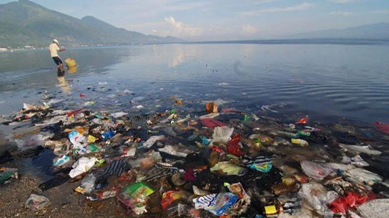 Sedih dan Bikin Miris. 13 Paus Sperma Terbunuh dengan Perut Berisi Sampah Plastik! 8