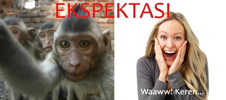 Antara Ekspektasi dan Realita, Ini yang Terjadi Kalau Kamu Banyak Posting Ngga Penting Di Sosial Media 27