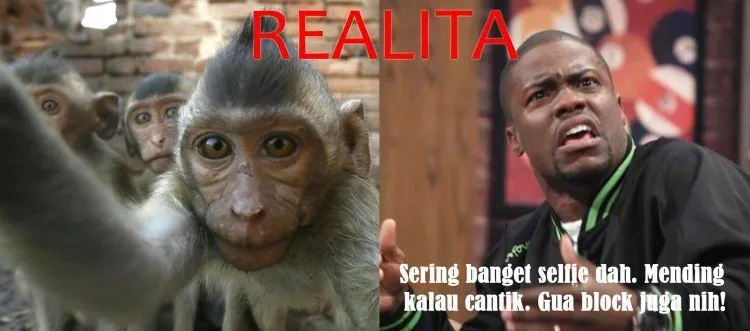 Antara Ekspektasi dan Realita, Ini yang Terjadi Kalau Kamu Banyak Posting Ngga Penting Di Sosial Media 28