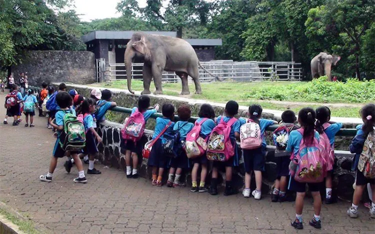 Kalau Pernah Melakukan 7 Hal Ini di Masa Kecil, Mungkin Kamu Memang Berbakat Jadi Traveler! 13