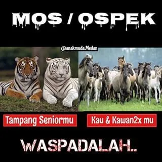 20 Meme Kocak Menyambut Masa Orientasi Siswa yang Sebentar Lagi Tiba. Semoga Kamu Bahagia :) 24