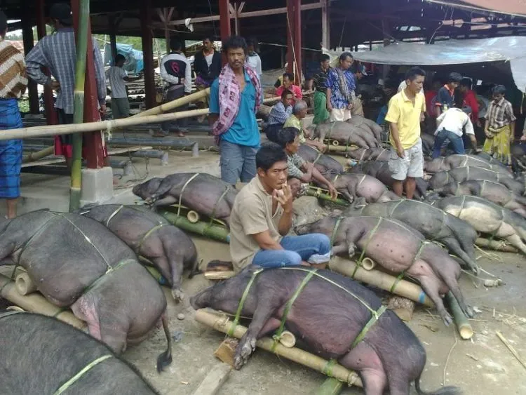 Inilah 7 Pasar Horor yang Sudah Dikenal Ngeri. Sembari Uji Nyali, Cobalah Berkunjung Ke Sini! 13