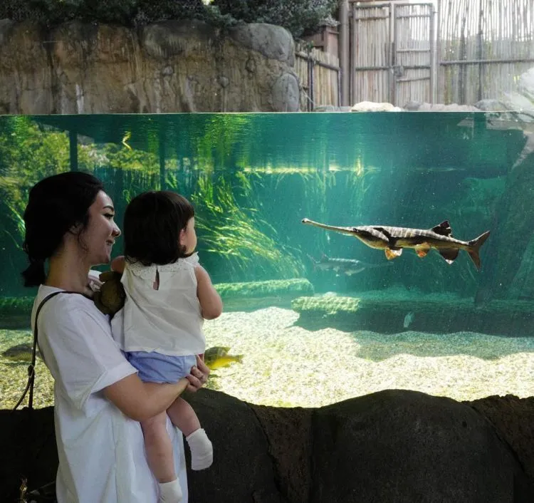 Ikut Nyimak Liburan Gading, Gisel, dan Gempi Ke Singapura Yuk! Entah Kenapa Kamu Bisa Ikut Bahagia. 19