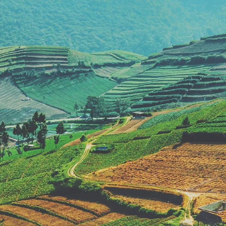 15 Spot Instagrammable Di Malang Ini Dijamin Bikin Kamu Pengen Berpetualang! Jadi, Kapan Ke Sana? 22