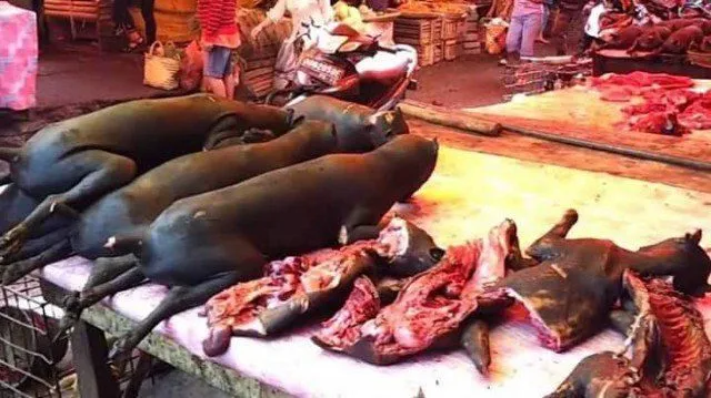 Inilah 7 Pasar Horor yang Sudah Dikenal Ngeri. Sembari Uji Nyali, Cobalah Berkunjung Ke Sini! 8
