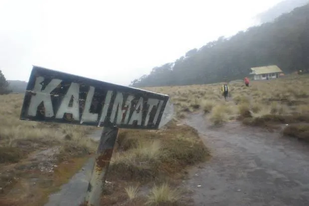 Kisah Pendaki yang Bertemu Banyak Setan di Gunung Semeru. Dijamin Merinding Bulu Kudukmu! 8