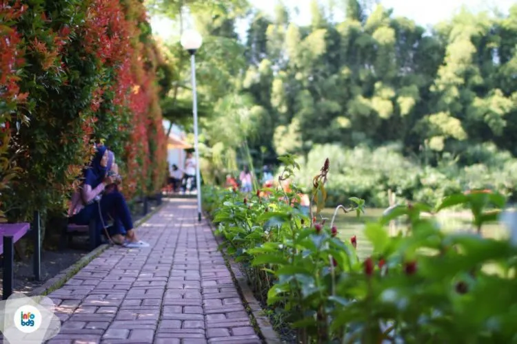 Kampoeng Tulip, Tempat Selfie Ngehits dengan Suasana Negeri Belanda. Traveler Wajib Ke Sana! 13