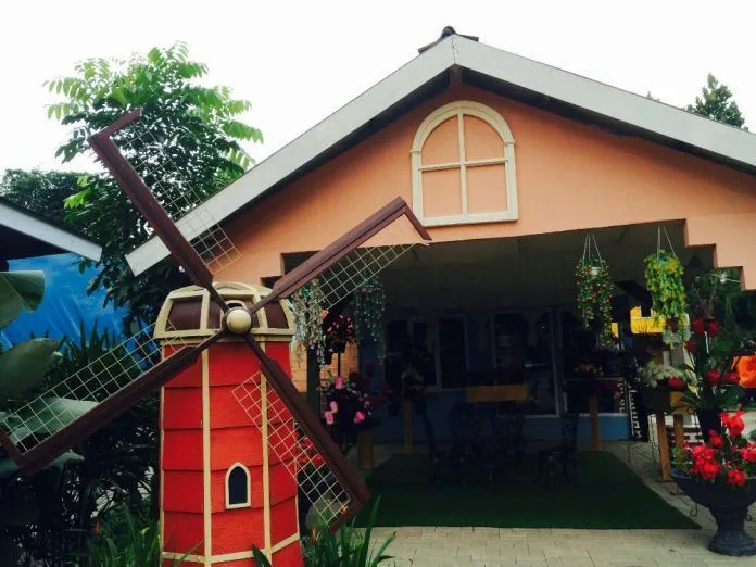 Kampoeng Tulip, Tempat Selfie Ngehits dengan Suasana Negeri Belanda. Traveler Wajib Ke Sana! 8