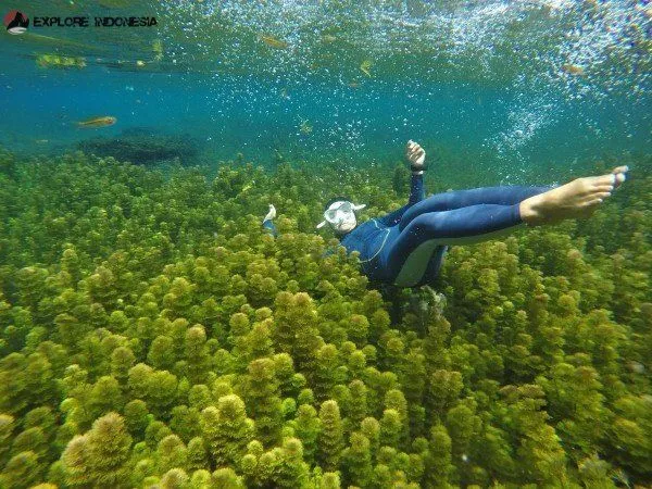 15 Spot Instagrammable Di Malang Ini Dijamin Bikin Kamu Pengen Berpetualang! Jadi, Kapan Ke Sana? 24