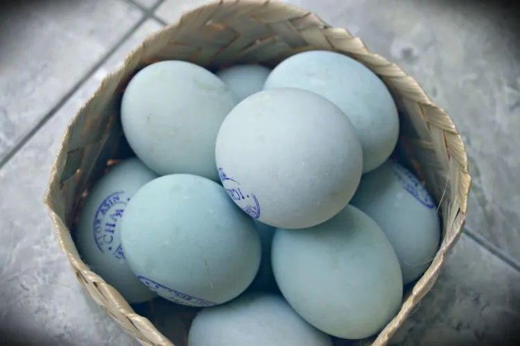 7 Fakta Menarik Tentang Brebes. Kota yang Mendunia Karena Kemacetan Horor dan Bikin Sengsara! 11