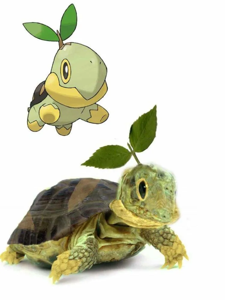Foto-Foto Ini Mengindikasikan Bahwa Pokemon Adalah Nyata, Keren Penampakannya! 64