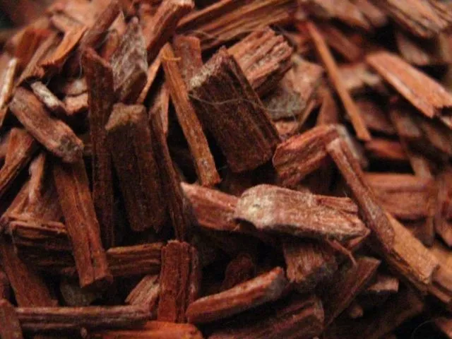 Kegantengan Bukanlah Nomor Satu, Kalian Laki-Laki Harus Pandai Memanfaatkan Aroma-Aroma Ini 14