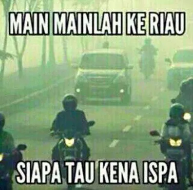 Potret Hutan Indonesia yang Katanya Paru-paru Dunia, Tapi Makin Menipis Luasnya! Duh, Sedih :( 11
