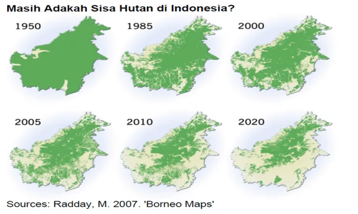 Potret Hutan Indonesia yang Katanya Paru-paru Dunia, Tapi Makin Menipis Luasnya! Duh, Sedih :( 16