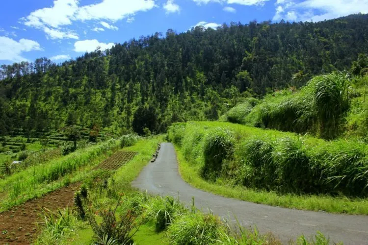 10 Wisata Alternatif Sekitar Jogja Ini Bisa Kamu Kunjungi Pas Lebaran. Biar Nggak Kena Macet! 15