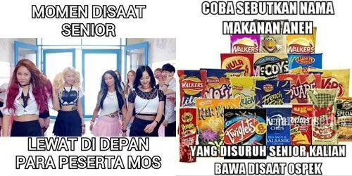 20 Meme Kocak Menyambut Masa Orientasi Siswa yang Sebentar Lagi Tiba. Semoga Kamu Bahagia :) 25