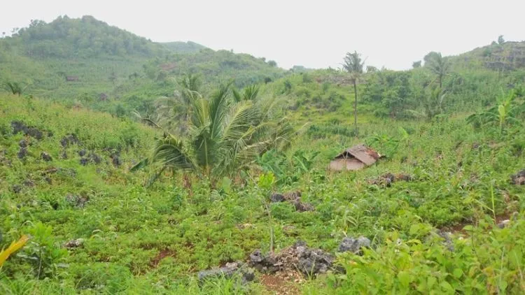 Bocoran Hidden Gem Baru di Jogja yang Belum Banyak Orang Tahu. Ke Sini Yuk Sebelum Ramai 7