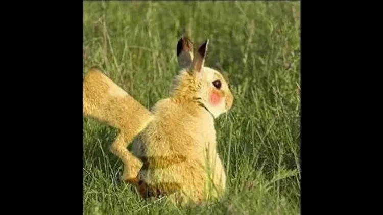 Foto-Foto Ini Mengindikasikan Bahwa Pokemon Adalah Nyata, Keren Penampakannya! 43