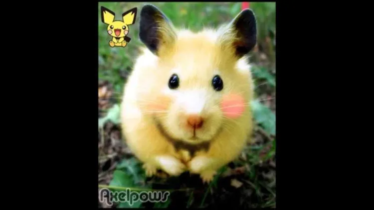 Foto-Foto Ini Mengindikasikan Bahwa Pokemon Adalah Nyata, Keren Penampakannya! 45