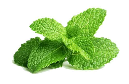 Kegantengan Bukanlah Nomor Satu, Kalian Laki-Laki Harus Pandai Memanfaatkan Aroma-Aroma Ini 12